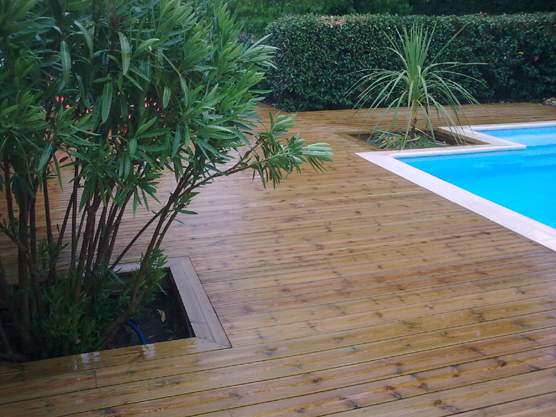 terrasse piscine pin
